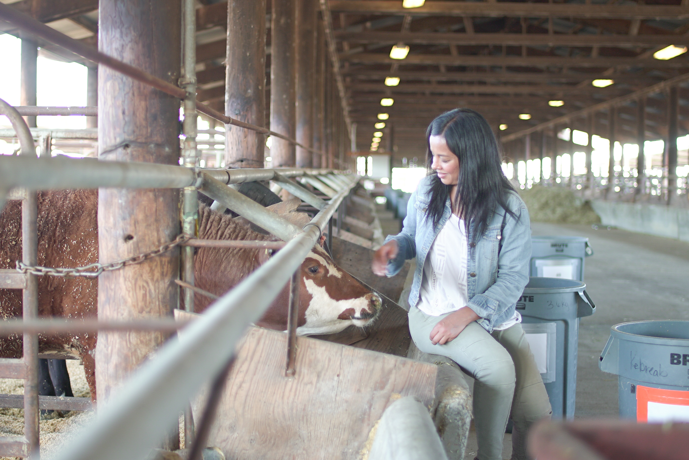Liz Bonnin stroking a cow behind a metal frame in a farm. Liz encourages us to lower our meat intake to make a big difference to the planet.