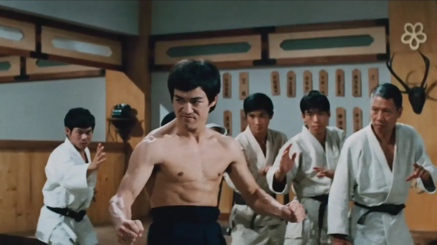 Fist of Fury