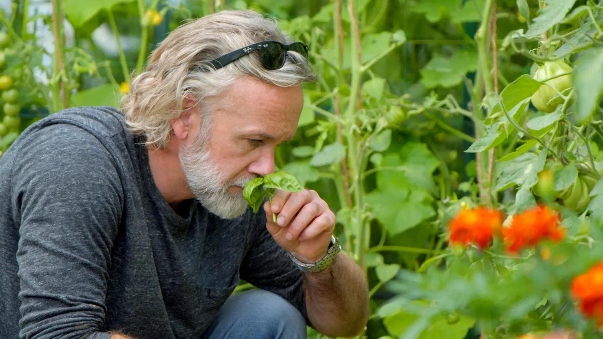 Tales from a Kitchen Garden