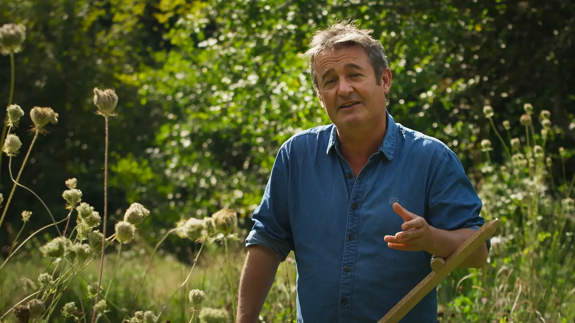 The Wild Gardener