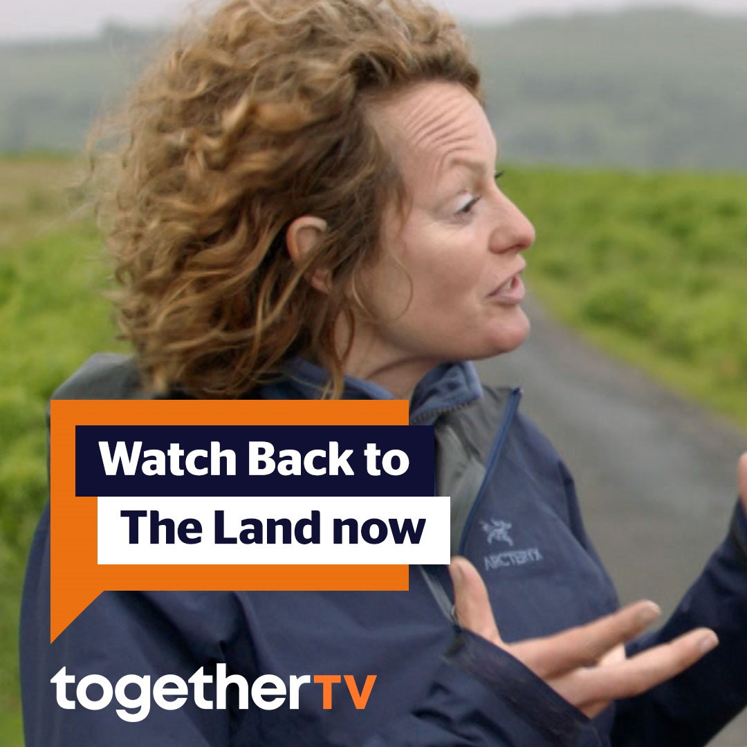 Watch Back to the Land Now