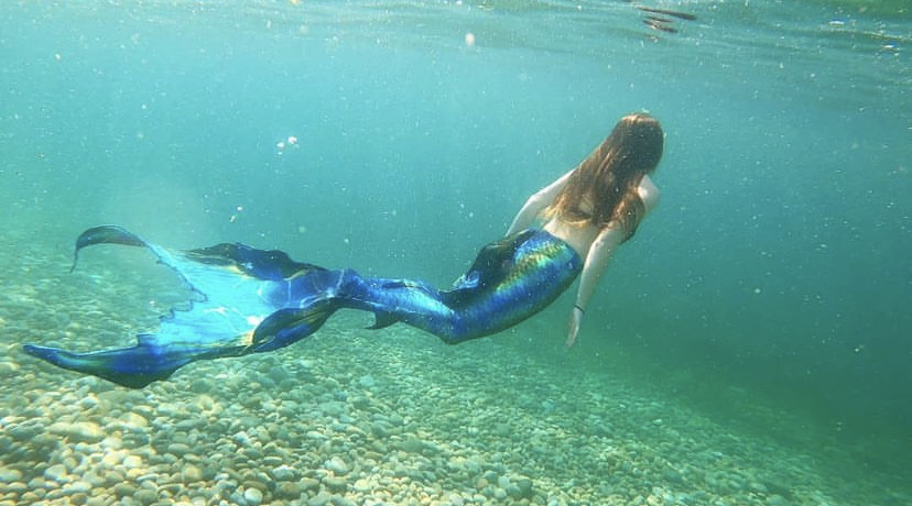 A scene from Mermaids Really Do Exist where a mermaid is swimming away from us underwater wearing a blue and green fin with long brown hair. 