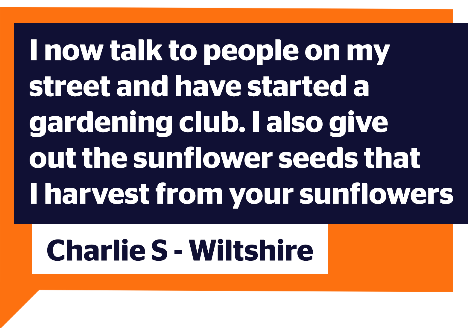I now talk to people on my street and have started a gardening club. I also give out the sunflower seeds that I harvest from your sunflowers. Charlie S, Wiltshire