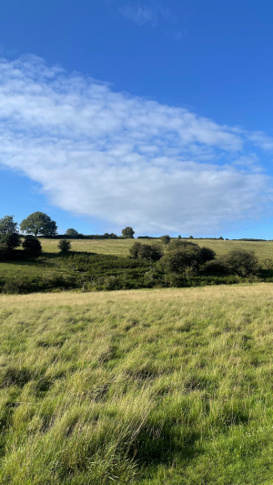 Photo of from a walk in the Cheddar countryside with blue skies.