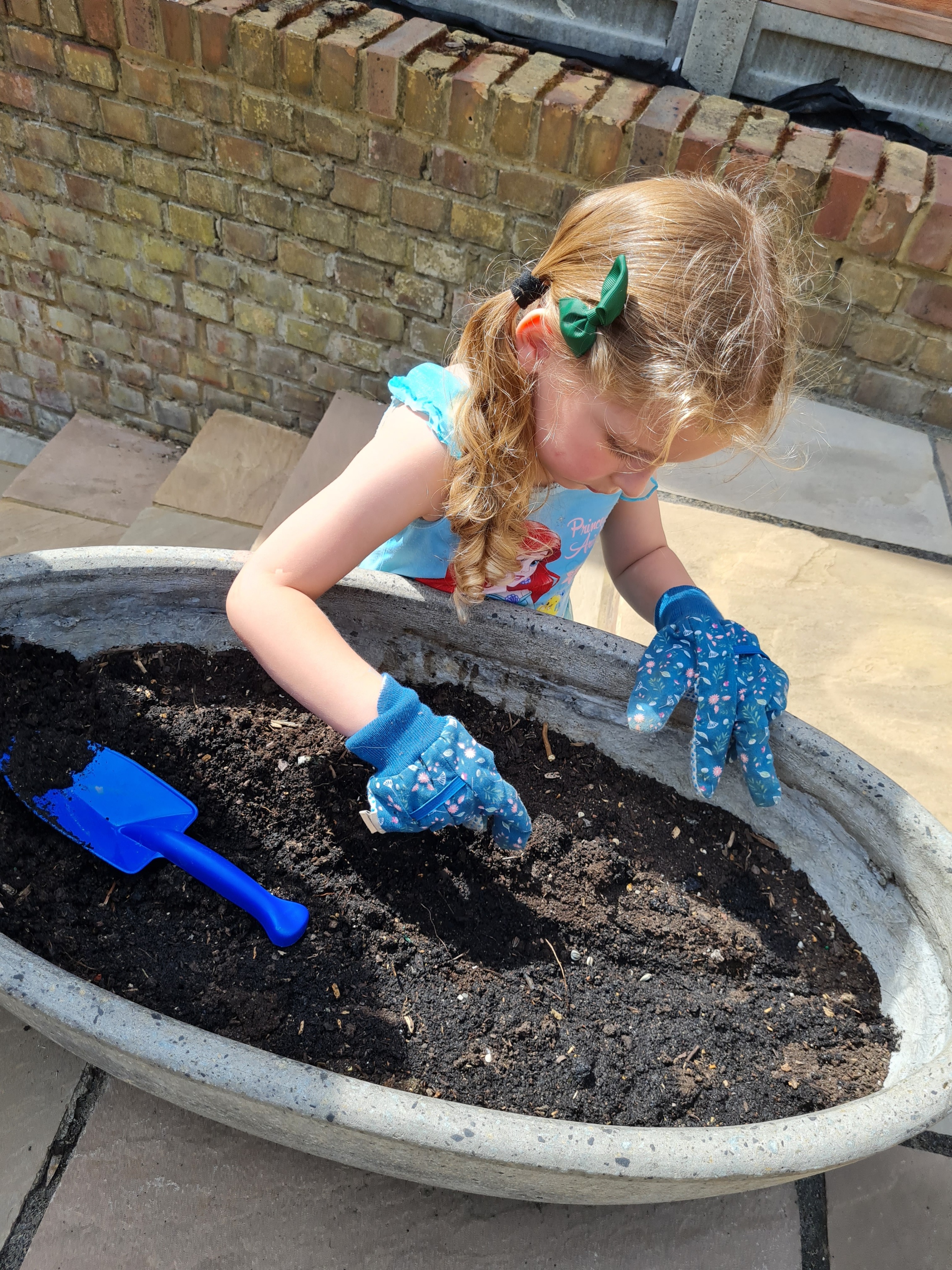 Ellena H -Mariella Rose is enjoying looking after her sunflowers! Photos of our journey enclosed
