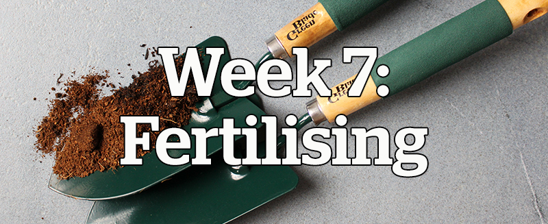 Week 7: Fertilising