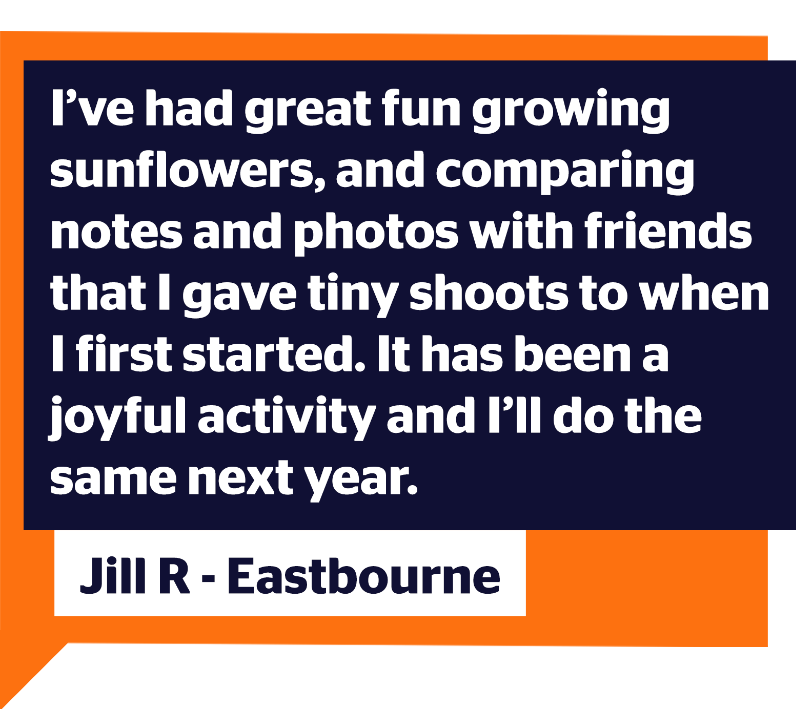 I've had great fun growing sunflowers and comparing notes and photos with friends that I gave tiny shoots to when I first started. It has been a joyful activity and I'll do the same next year. Jill R, Eastbourne