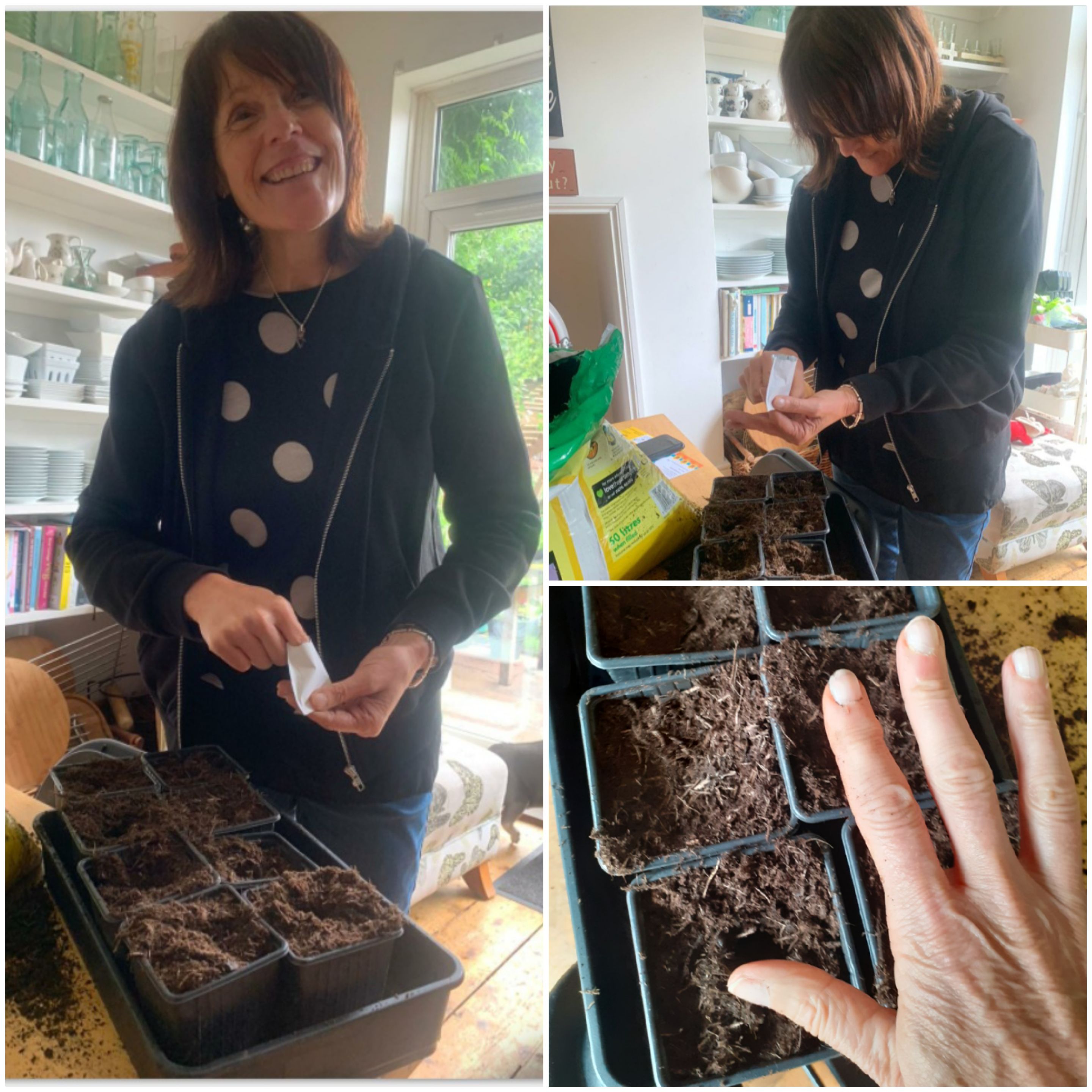 Julie H - I had a recent fall and my lovely neice Jessica helped me plant them and is going to help grow them for my great nephew and neices!
