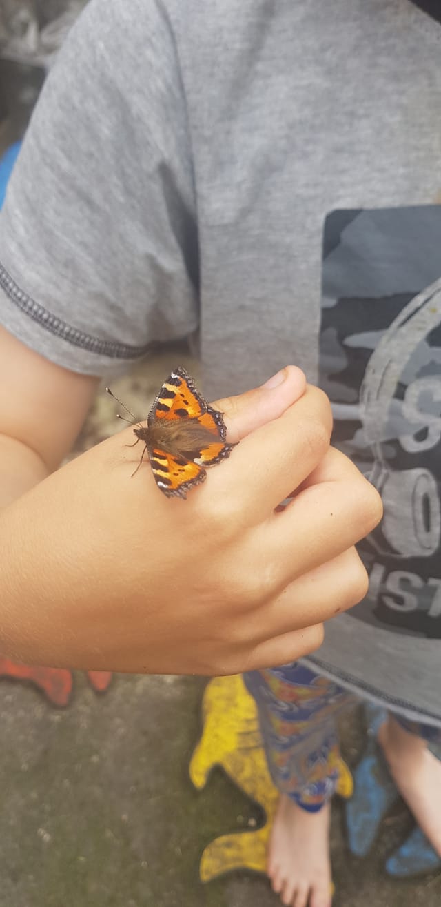 A painted butterfly on a hand (photo by Sally F)