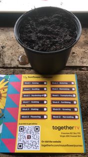 Sharon R - Seeds arrived today and planted. Now the wait begins.