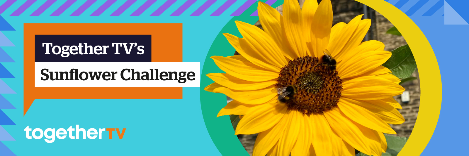 Sunflower Challenge header image