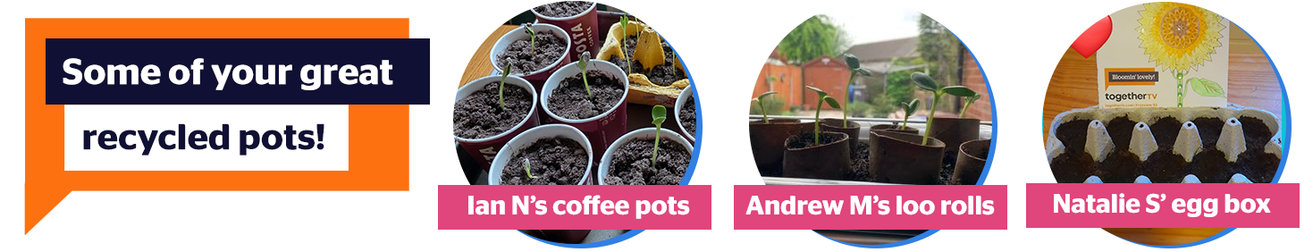 Some of you great recycled pots. There's Ian N's reused coffee cut with seedlings poking through. Andrew M's empty loo rolls and Natalie S' egg box!