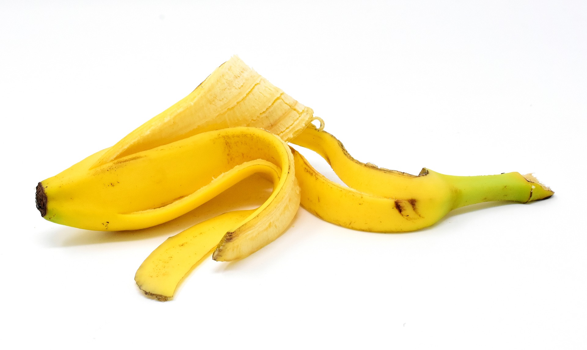 Banan peel (Image by Here and now, unfortunately, ends my journey on Pixabay)
