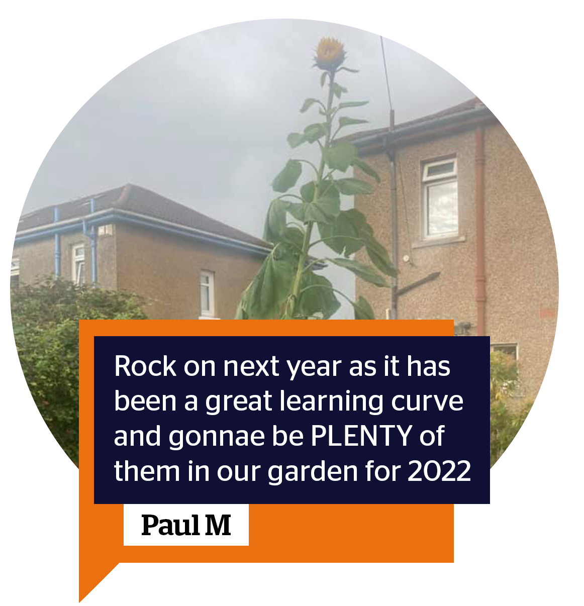 Paul m -  rock on next year as it has been a great learning curve and gonnae be PLENTY of them in our garden for 2022