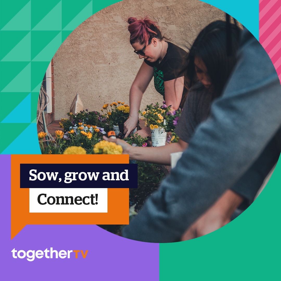 sow grow and connect