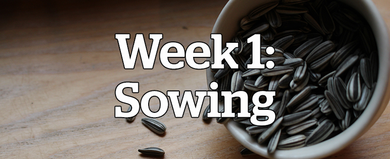 Week 1: Sowing