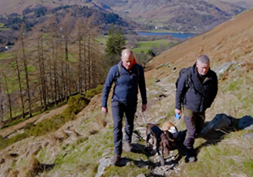 Great British Dog Walks