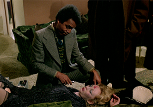 Mary Millington: Playbirds