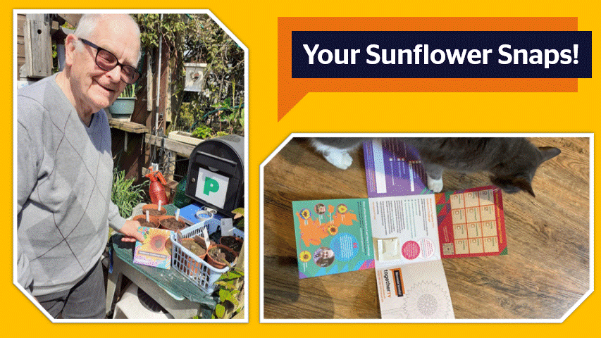A gif of various people's photos of their sowed sunflwoer seeds in pots, colouring in a sunflower, sunflower seedlings sprouting from pots and empty pots waiting to be filled with sunflowers!
