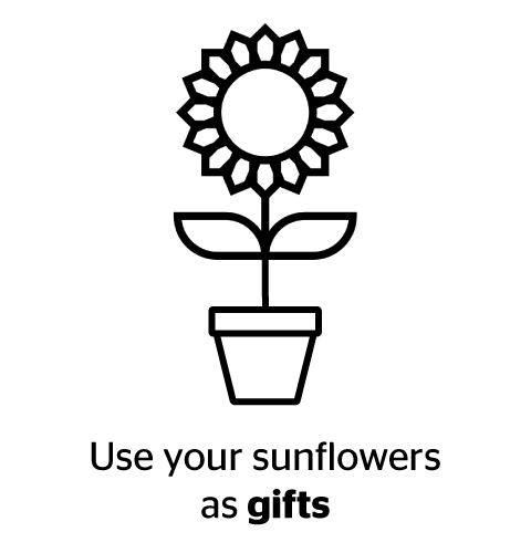 Use your sunflowers as gifts (icon of sunflower in pot)