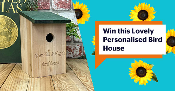 Win this lovely personalised bird house