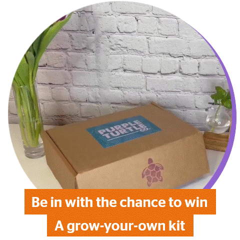 A short gif of the Grow Your Own kit that you can be in with the chance of winning