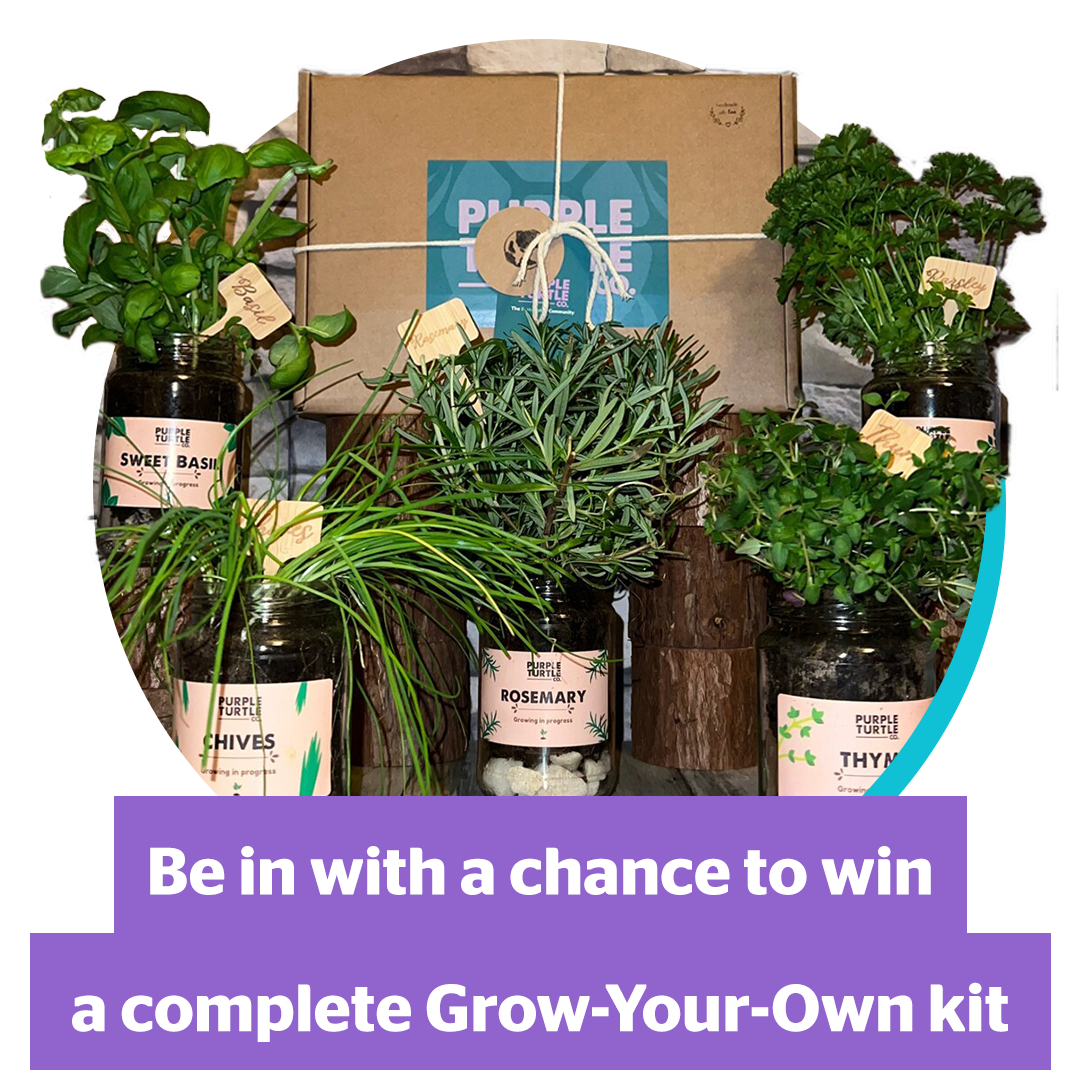 Be in with a chance to win a complete Grow Your Own kit to continue your journey, including basil, rosemary, chives, thyme and parsley!