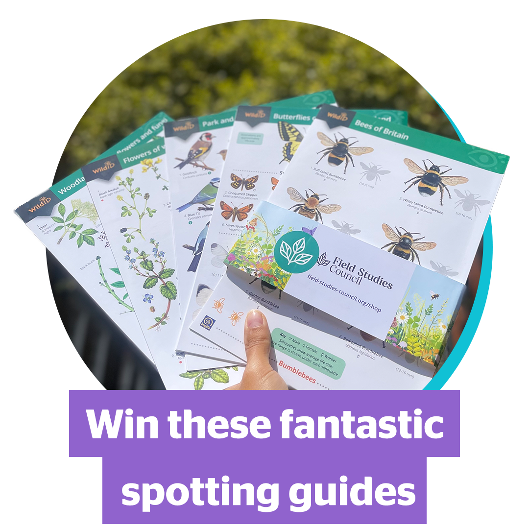 Be in the chance to win one of these fantastic wildlife spotting guide packs